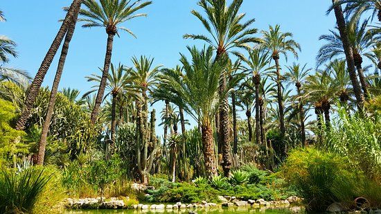 Jardín Artístico Nacional Huerto Del Cura